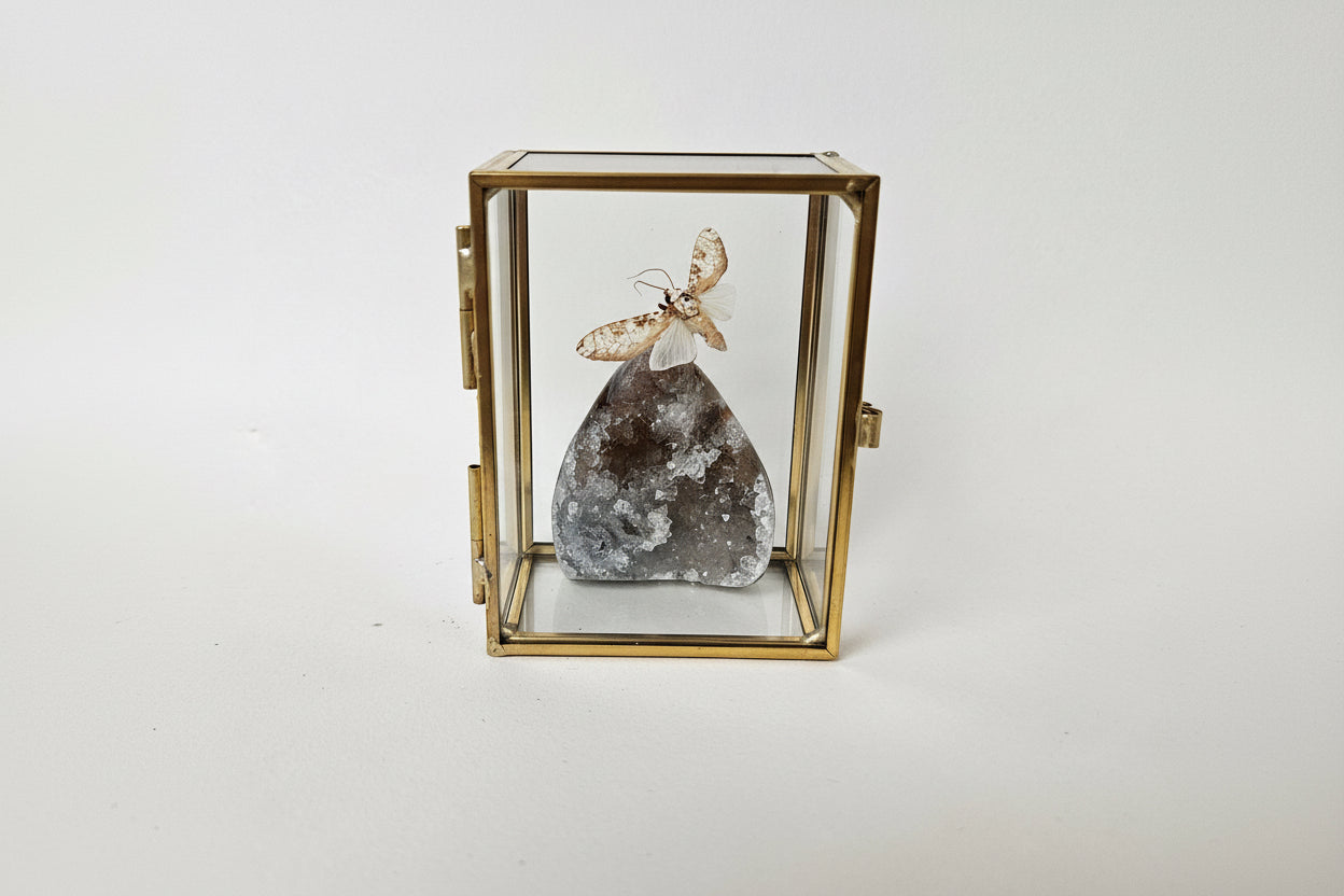 Vlinderstolp: Agaat met nachtvlinder