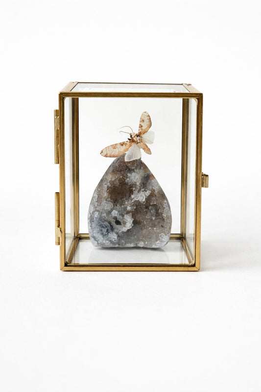 Vlinderstolp: Agaat met nachtvlinder