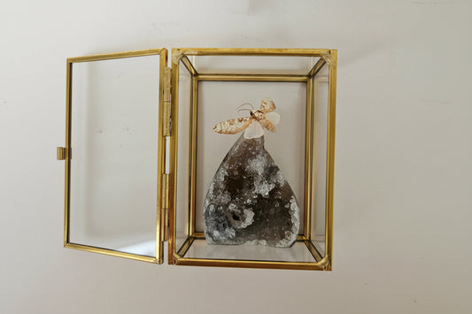 Vlinderstolp: Agaat met nachtvlinder