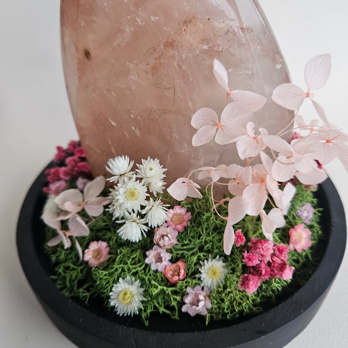 Vlinderstolp: Rozenkwart met Nepheronia Argia