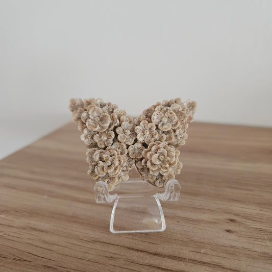 Epoxy Vlinder maat S