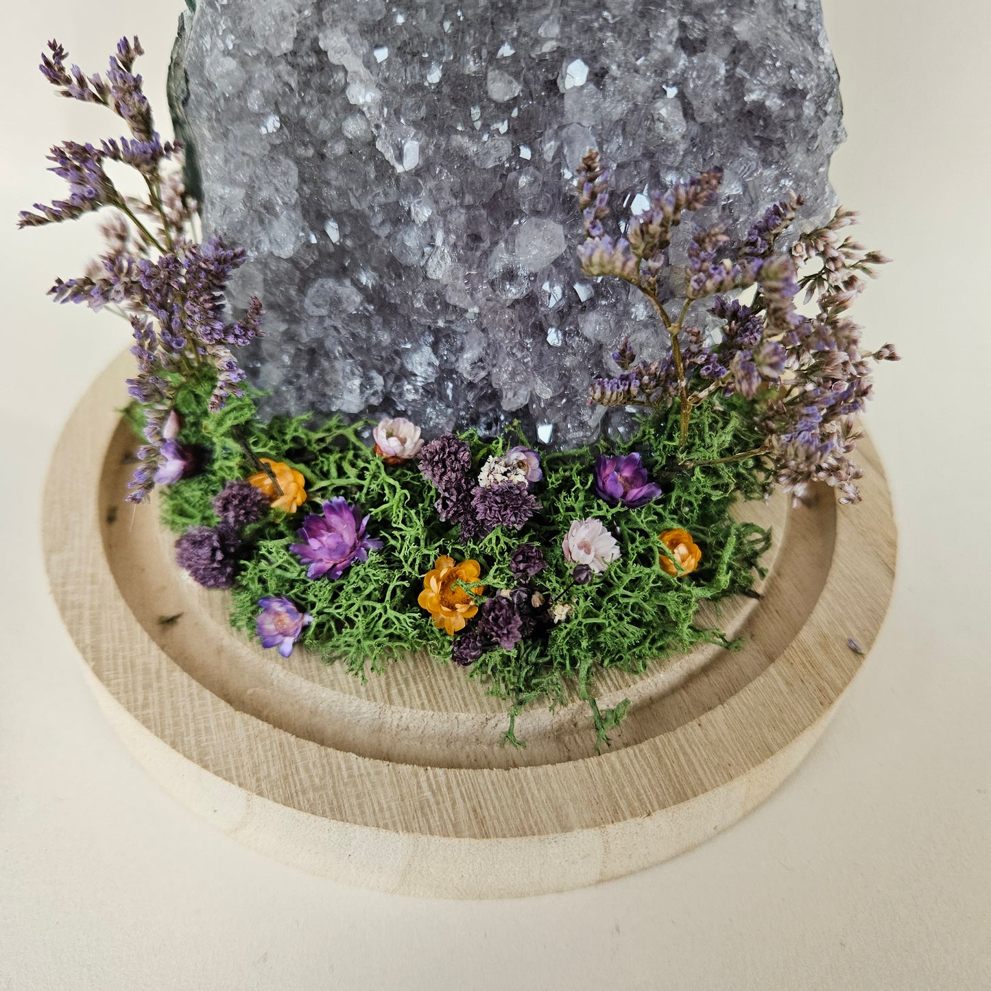 Vlinderstolp: Amethist met Danaus Plexippus (Monarch vlinder)