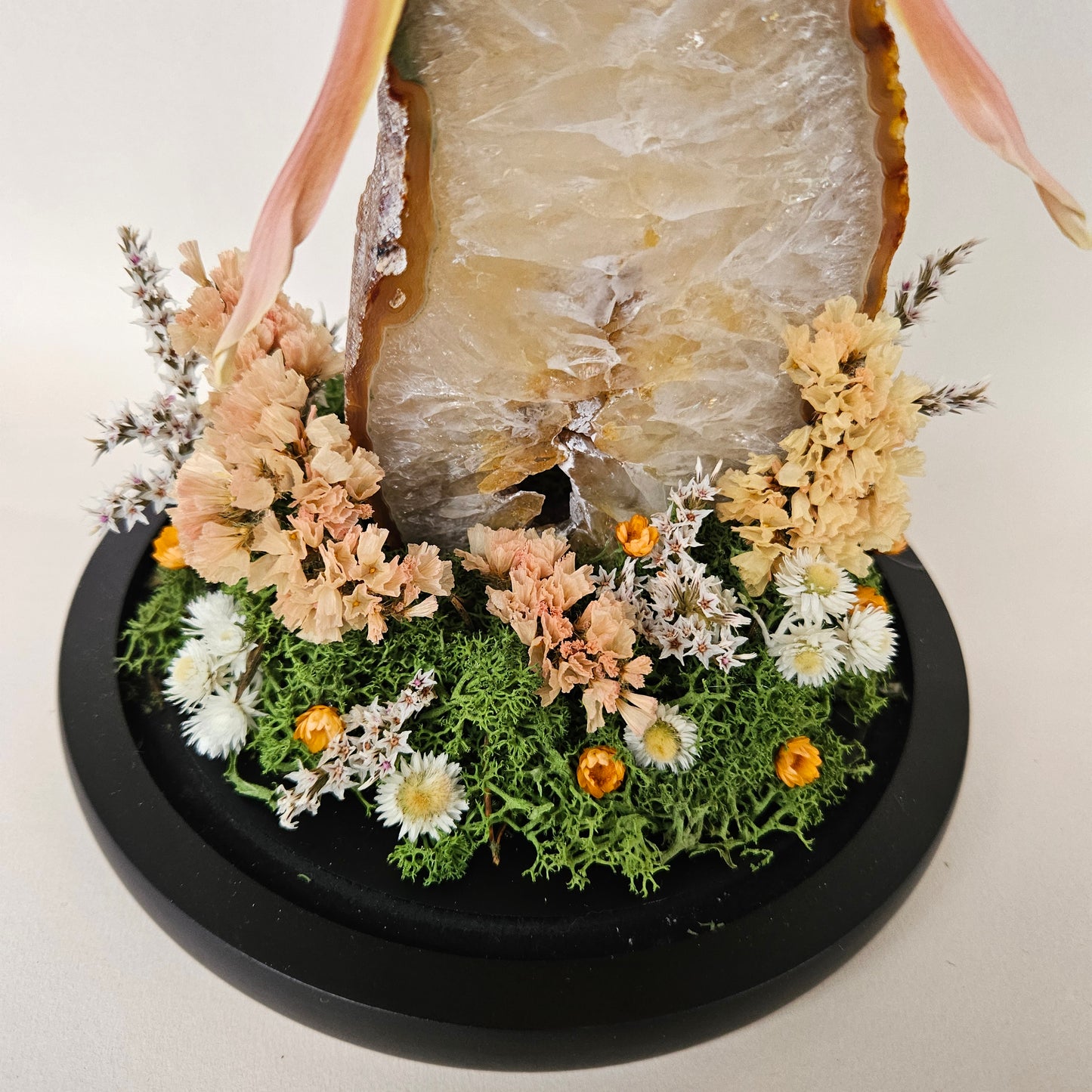 Vlinderstolp: Agaat met Actias rhodopneuma