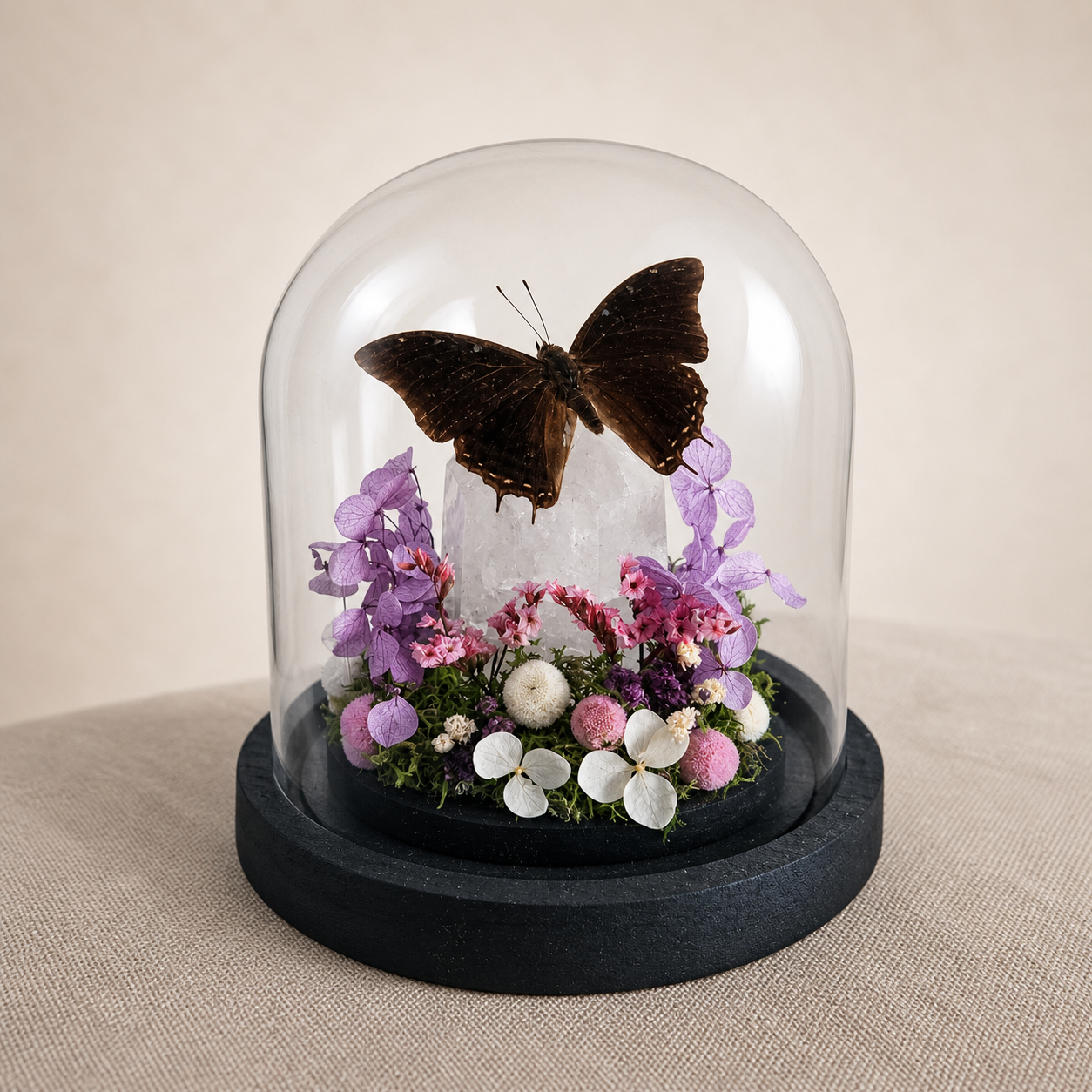 Vlinderstolp: met bergkristal Charaxes kheili
