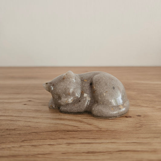 Epoxy Herinneringskatje (2)