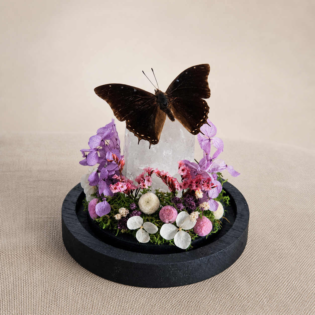 Vlinderstolp: met bergkristal Charaxes kheili