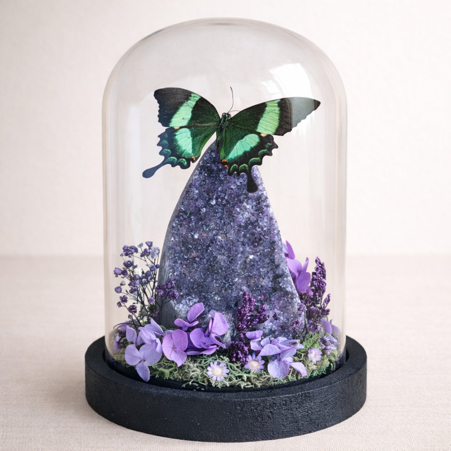 Vlinderstolp: Amethist met Papilio palinurus